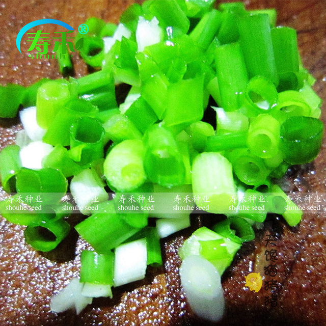 
Four seasons green onion seeds seedlings chive seeds green onion potted green onion seeds vegetable seedlings divided into green onion dried shallots