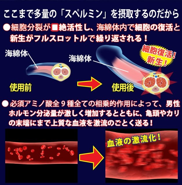 Japan's original imported snake -green ingot adult growth rate of upper amplitude Boqi activity congestion, uprising the sponge body