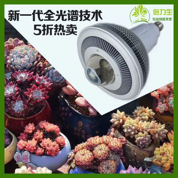 植物补光灯日光 新人首单立减十元 21年10月 淘宝海外
