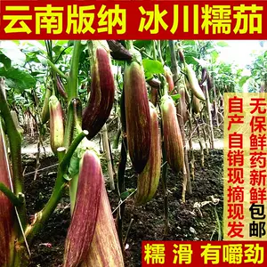 花茄子 新人首单立减十元 22年4月 淘宝海外