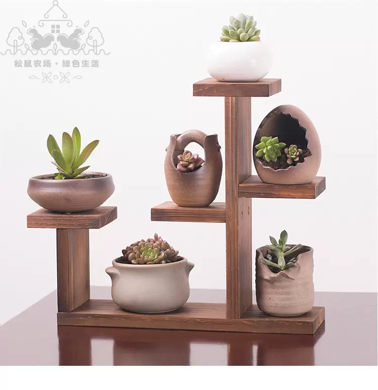 小盆栽置物架 新人首單立減十元 21年11月 淘寶海外