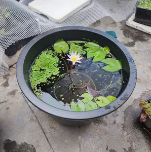 睡莲钵 Top 100件睡莲钵 22年11月更新 Taobao 睡莲钵 Top 100件睡莲钵 22年11月更新 Taobao