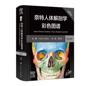 临床解剖学图谱- Top 1000件临床解剖学图谱- 2023年11月更新- Taobao
