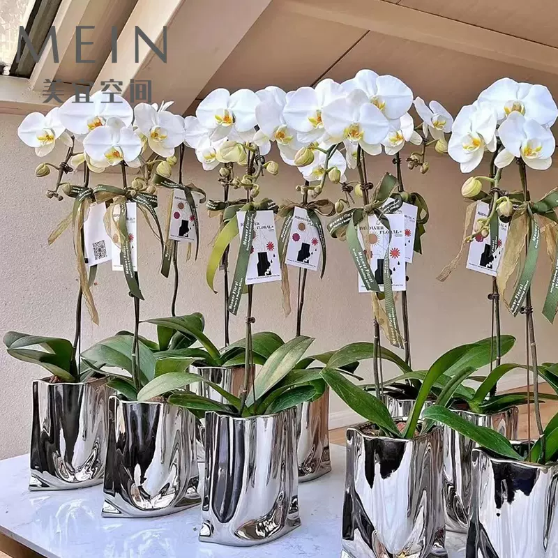 轻奢电镀银色花瓶陶瓷摆件网红鲜花店插花创意餐桌样板房