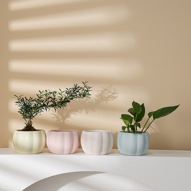 Nordic style creative colorful succulent pots ceramic pumpkin ins style flower pots home gardening green plants bedroom desktop