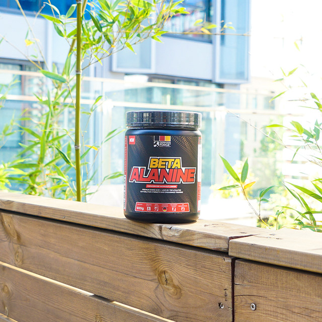 German Frigg Alanine Reduces Lactic Acid Accumulation for Fitness Men to Improve Muscle Endurance Nighttime Nitrogen Pump 500G