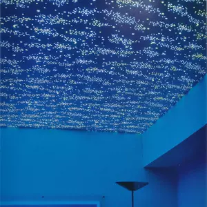 满天星壁纸 新人首单立减十元 22年9月 淘宝海外