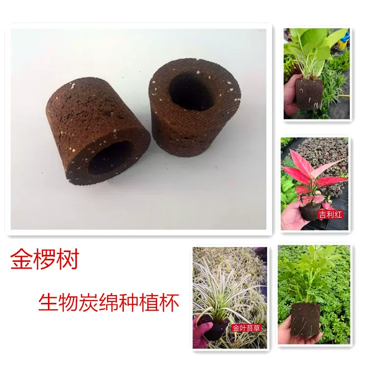 无土多肉专用海绵绵植物保水透气生根成活高园艺蔬菜种植生物
