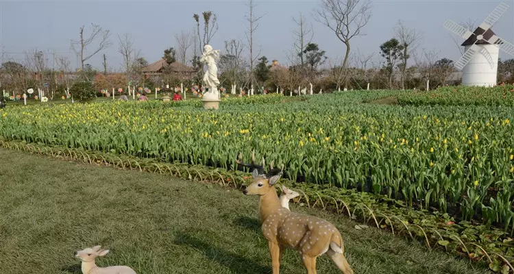 花样年华景区图片