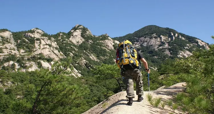 龙须山图片