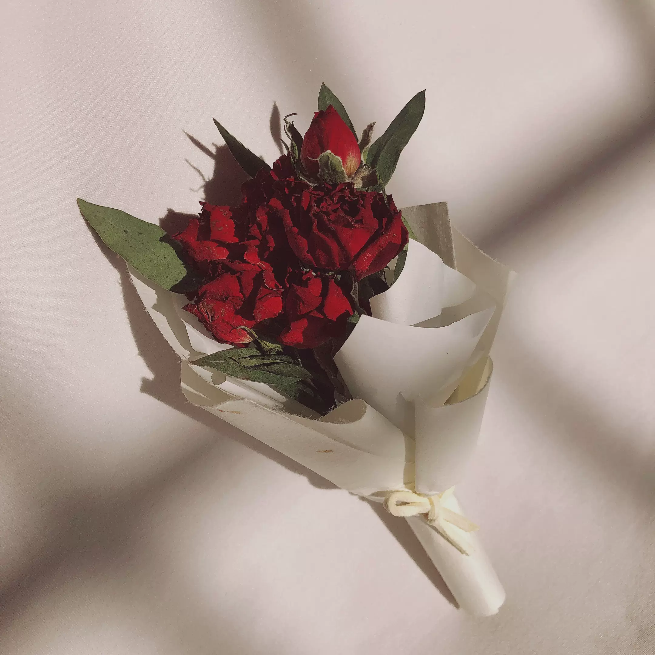 卡诺尔 玫瑰干花北欧小花束装饰摆件生日礼物女ins客厅桌面