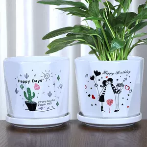 蝴蝶兰盆栽带花苞 新人首单立减十元 22年3月 淘宝海外