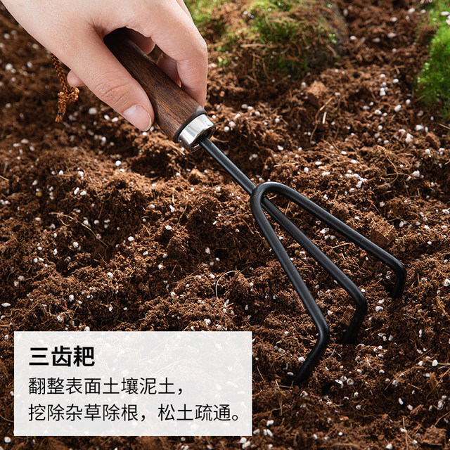 Japanese ECHO flower planting tools, vegetables, and flowers, succulents, loosen soil, potted plants, three-tooth rake, iron shovel, gardening shovel
