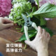Shuangshan gardening pruning shears household labor-saving fruit tree potted pruning knife flowers bonsai gardening tools scissors
