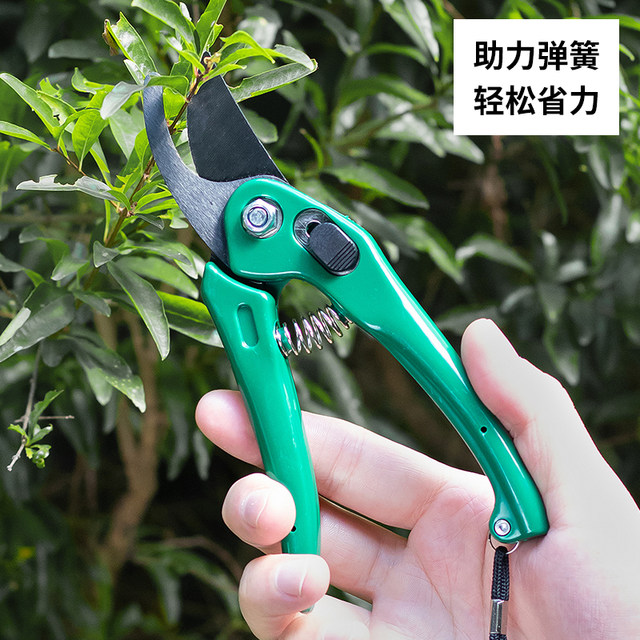 Japanese ECHO gardening scissors, garden pruning scissors, fruit tree pruning branches, floral scissors, household bonsai flower scissors