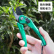 Japanese ECHO gardening scissors, garden pruning scissors, fruit tree pruning branches, floral scissors, household bonsai flower scissors