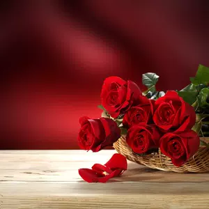 鲜花一扎 新人首单立减十元 22年7月 淘宝海外 鲜花一扎 新人首单立减十元 22年7月 淘宝海外