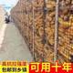 Thickened plastic fence net for chickens and ducks, breeding net, orchard vegetable garden enclosure, fish pond protective net, square grid net, corn net