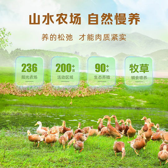 Shunhua Linwu duck Hunan Chenzhou specialty duck neck, duck wings, duck gizzard meat braised snacks gift package cooked food 500g