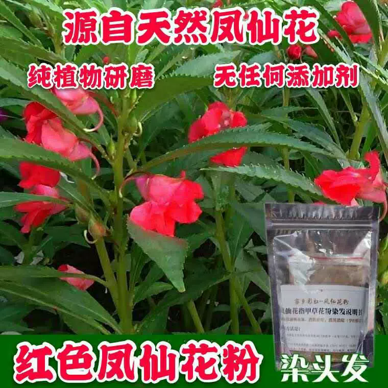 天然凤仙花粉染头发指甲草纯植物染发护发小桃红遮盖
