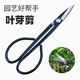 
Leaf bud twig shears, bonsai scissors, bud shears, gardening pruning, professional flower shears, flower arrangement making tools
