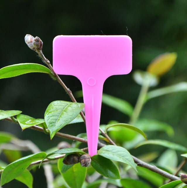 Plant label Gardening label T-shaped succulent label Colorful sign micro landscape waterproof floor sign