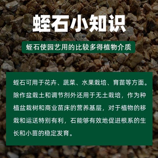 Vermiculite perlite particles root cutting seedling cultivation soil matrix succulent hatching rose soil nutrient soil