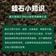 Vermiculite perlite particles root cutting seedling cultivation soil matrix succulent hatching rose soil nutrient soil