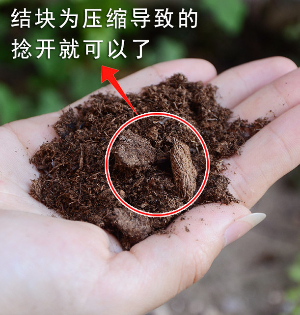 Danish Pin's peat soil imported pure peat soil succulent flowers green plants and flowers general organic nutrient soil