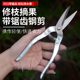 Gardening pruning scissors, pruning shears, stainless steel fruit trees, garden branches, bonsai pruning tools, special fruit pruning tools