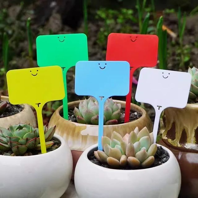 
Label gardening succulent identification flower green plant label plant name record waterproof plastic ground sign universal