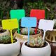 
Label gardening succulent identification flower green plant label plant name record waterproof plastic ground sign universal