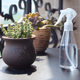 Gardening spray bottle water spray small flower watering can spray succulent small watering can sprinkle watering 200 ml