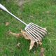 Stainless steel small rake with integrated welded handle gardening multi-tooth multi-claw garden tool loose soil artifact small rake