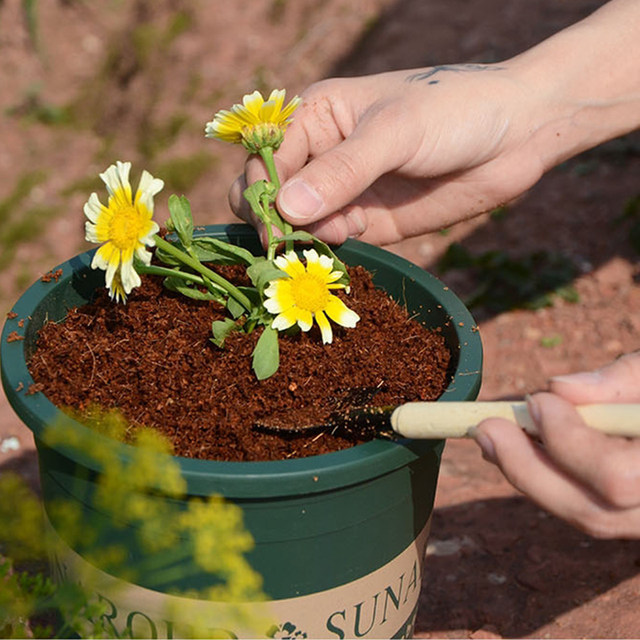 Imported coconut brick soil vegetable planting general desalinated coconut bran large coconut brick soil turtle hibernation flower planting soil
