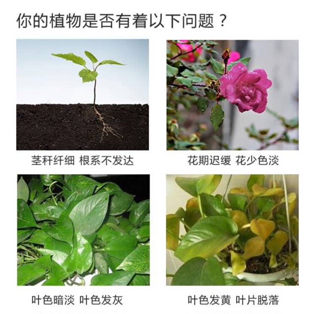 
Phosphate fertilizer, superphosphate, flower fertilizer, gardening fruit and vegetable fertilizer, root strengthening fertilizer, soil fertilizer, chemical fertilizer powder type