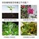 
Phosphate fertilizer, superphosphate, flower fertilizer, gardening fruit and vegetable fertilizer, root strengthening fertilizer, soil fertilizer, chemical fertilizer powder type