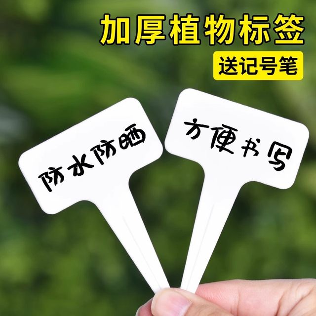 
Label gardening succulent identification flower green plant label plant name record waterproof plastic ground sign universal