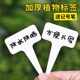 
Label gardening succulent identification flower green plant label plant name record waterproof plastic ground sign universal