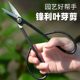 
Leaf bud twig shears, bonsai scissors, bud shears, gardening pruning, professional flower shears, flower arrangement making tools