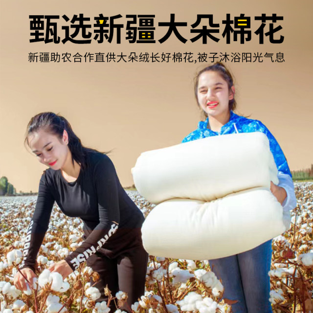 Xinjiang pure cotton quilt winter quilt thickened warm long-staple cotton quilt mattress quilt single cotton quilt core