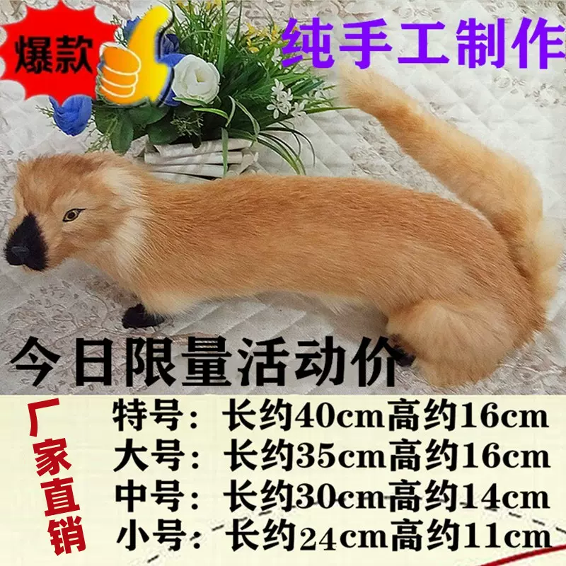 仿真真皮黃鼠狼寵物模型玩偶黃鼬黃皮子玩具標本動物可燒堂口