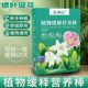 Plant slowdown fertilizer Nutrition Baseball Nourishing Flower Universal Folk Family Pot Potted Planted Planted Feds Fortune Tree Flower Green Plants
