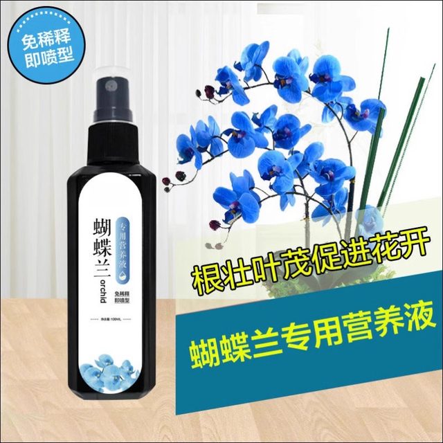 Phalaenopsis Arrow King Plant Nutritional Solution Flowering Sword Blossom Prevention of Yellow Leaf Orchid Special Fertilizer General Organic Fertilizer
