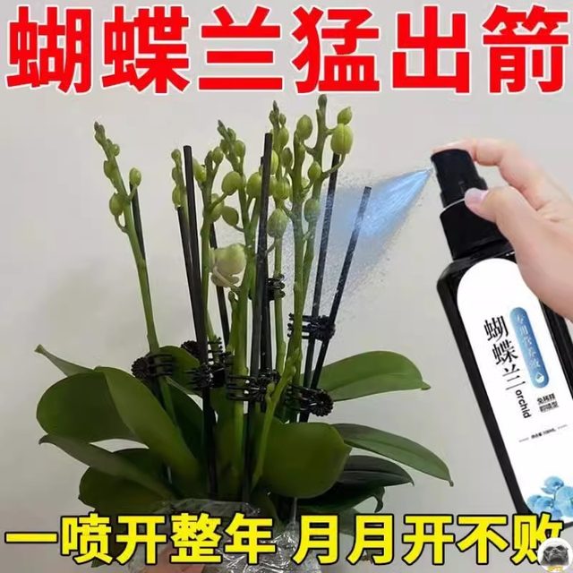Phalaenopsis Arrow King Plant Nutritional Solution Flowering Sword Blossom Prevention of Yellow Leaf Orchid Special Fertilizer General Organic Fertilizer