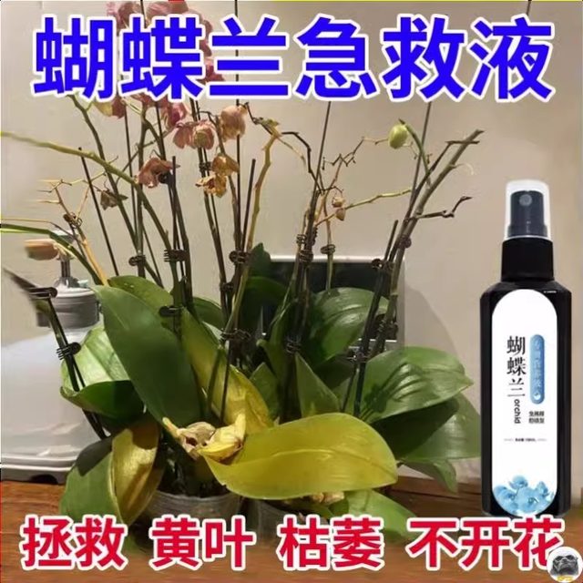 Phalaenopsis Arrow King Plant Nutritional Solution Flowering Sword Blossom Prevention of Yellow Leaf Orchid Special Fertilizer General Organic Fertilizer