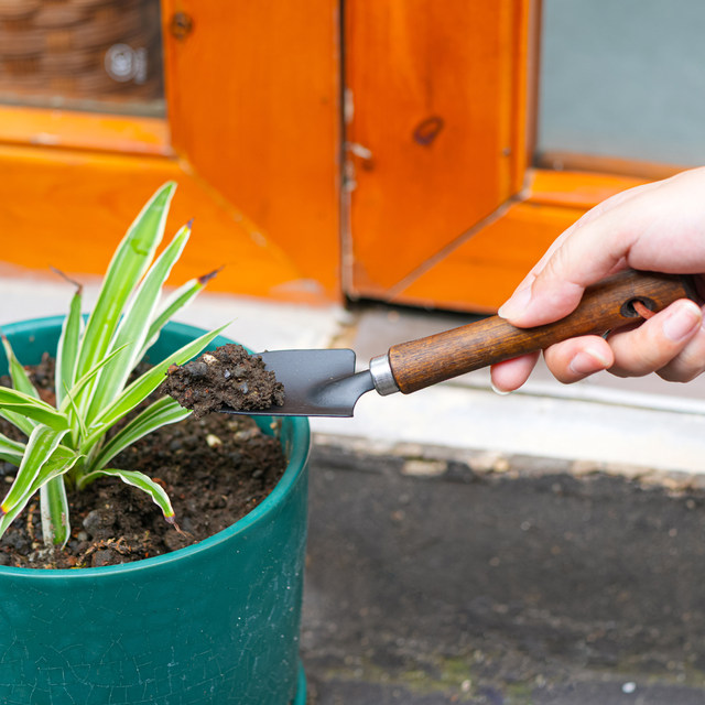 ECHO Japanese metal wooden handle gardening small shovel loose soil flower planting tool household set potted succulent shovel