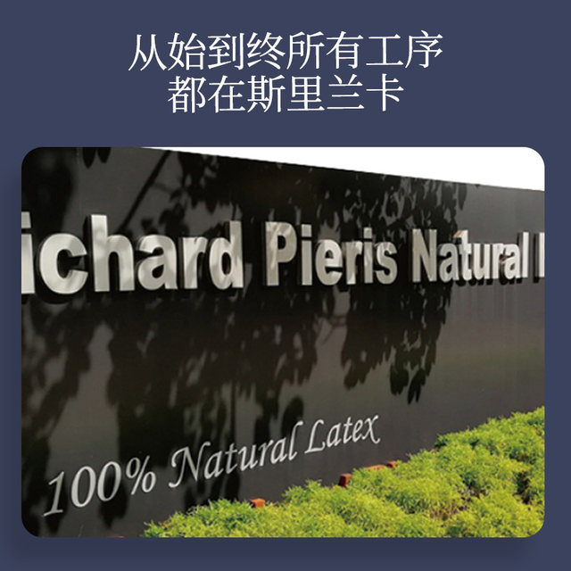 Dr. Sleep Sri Lanka imported 95% content latex pillow, neck pillow ...