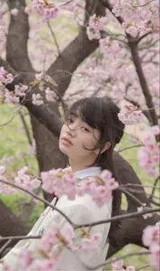 樱花画册 新人首单立减十元 22年2月 淘宝海外