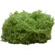 Simulated moss turf bionic artificial fake moss micro landscape layout ornaments lawn bonsai potted plants paving landscaping
